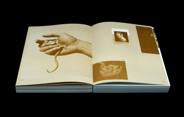 Lydia Chodosh, On the Impulse to Notate, publication, 2024